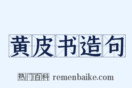黄皮书造句是什么意思的图片